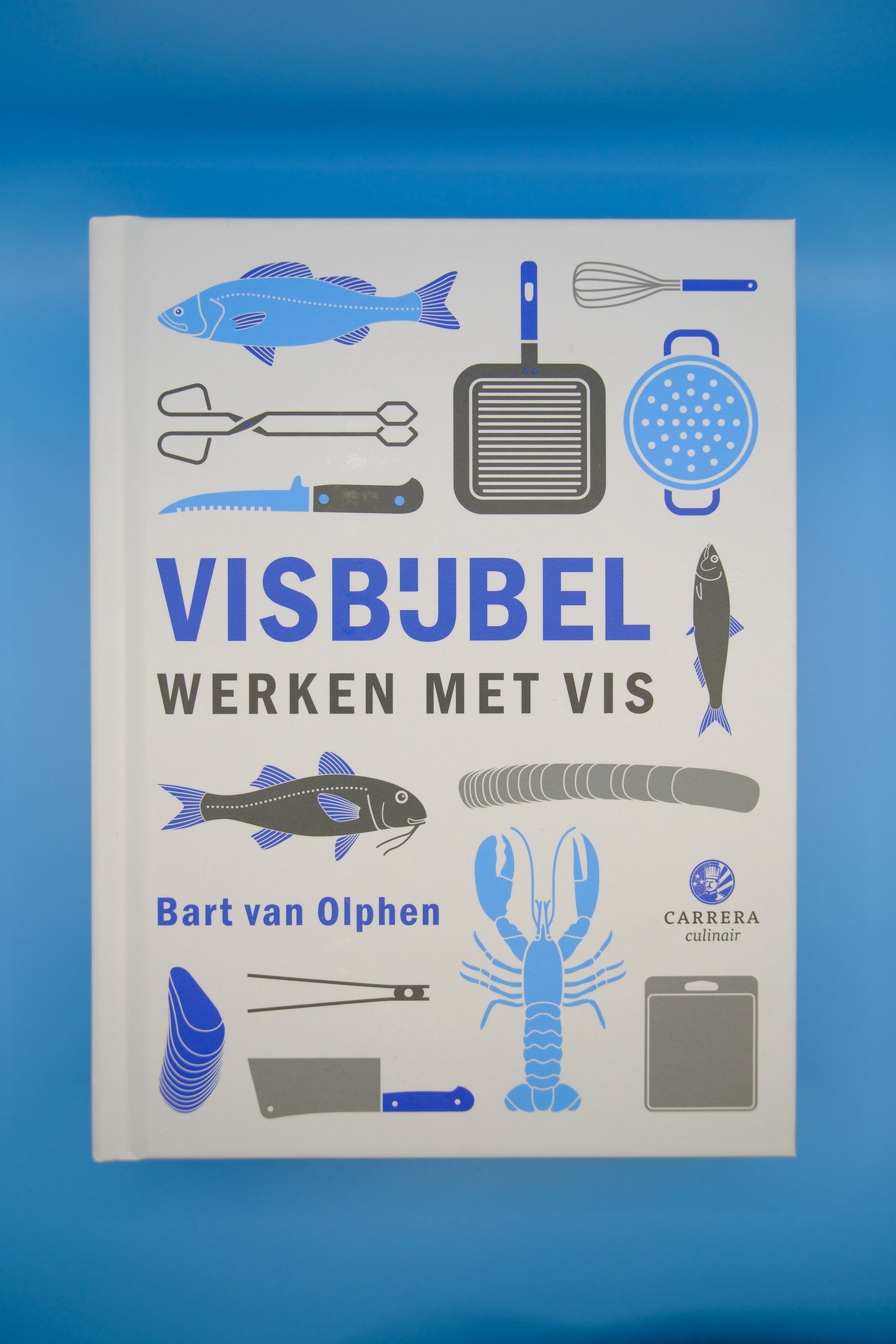 Visbijbel