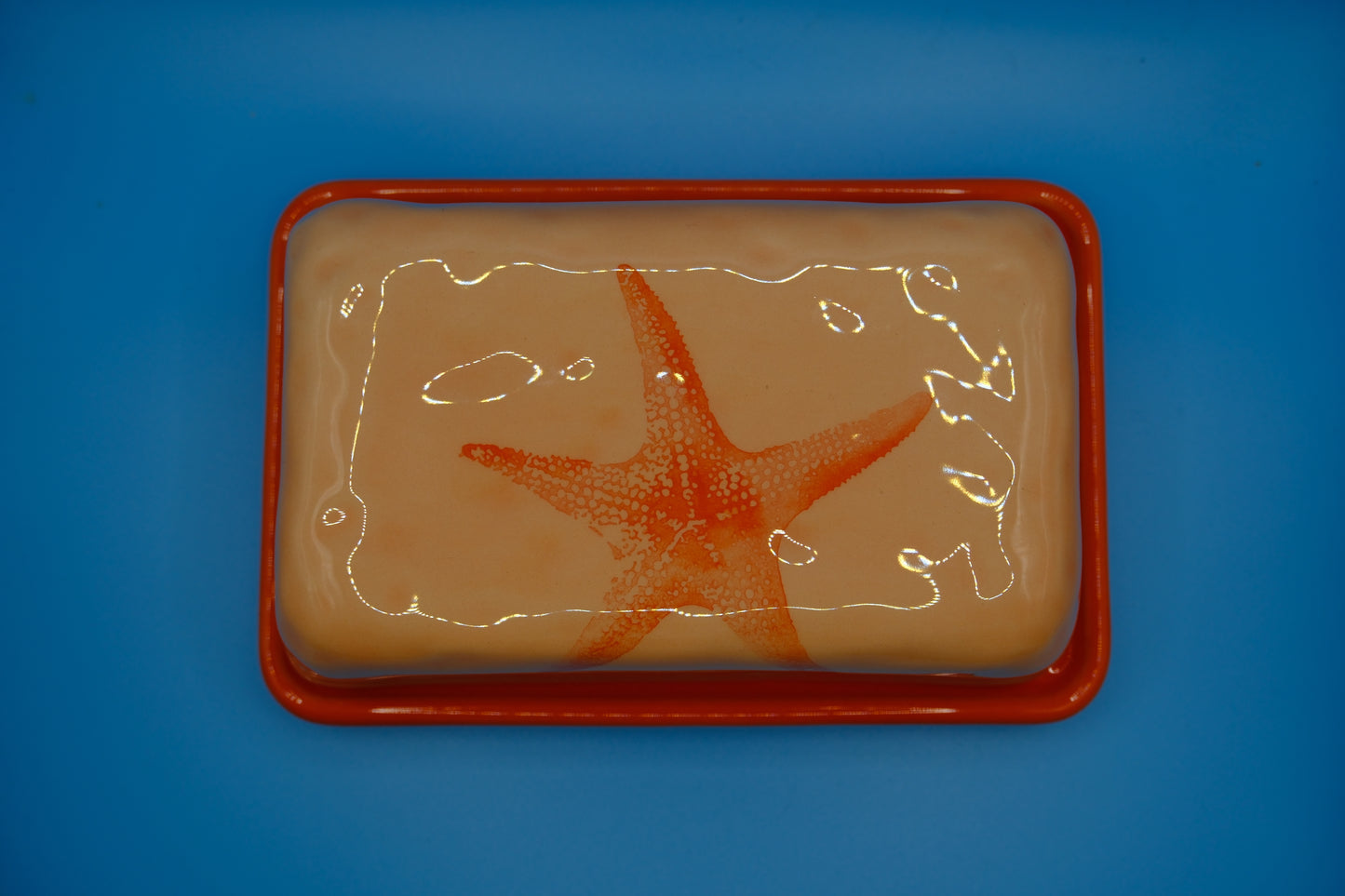botervloot zeester Coral